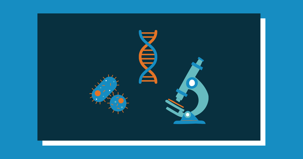 Streamlined Quantitative Imaging Biomarker Development Generalization - Vintage Texture Collection - 4K Quality